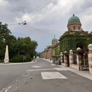 63.jpg