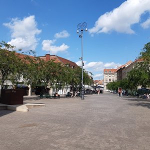 77.jpg