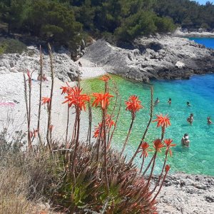 Dalmatien: INSEL HVAR > Badebucht