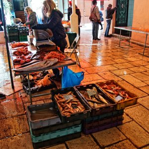 Split Fischmarkt