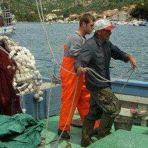 Dalmatien > VELA LUKA > Fischerei  ist harte Arbeit