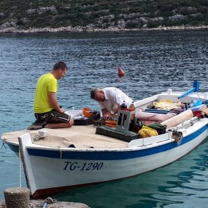 Dalmatien: DRVENIK VELI - Fischkauf