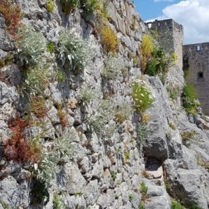 Dalmatien: KLIS> Festung