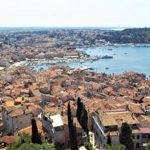 Istrien ROVINJ Blick auf die Stdt.JPG