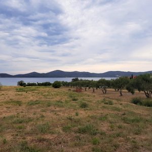 Dalmatien: INSEL PASMAN > Blick von Biograd na Moru auf die Insel Pasman