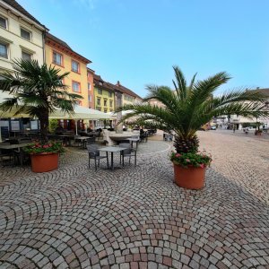 Altstadt-Paradies-3.jpg
