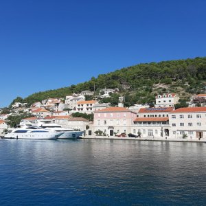 Pucisca