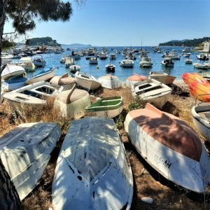 Dalmatien: HVAR > unzählige Boote in und vor der Adria