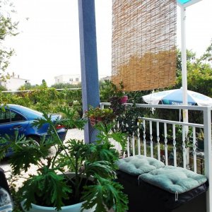 DSCF9093.JPG