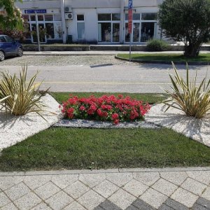 14_Pirovac_2023.jpg