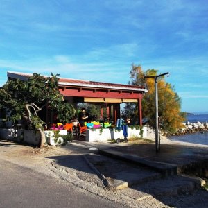 DSCF9142.JPG