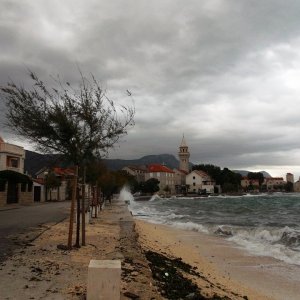 DSCF9183.JPG