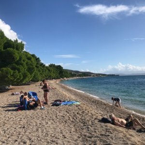 IMG_1349.jpeg