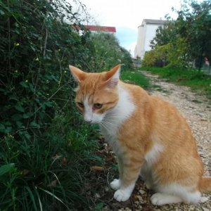 DSCF9349.JPG