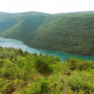 Istrien: LIMSKI KANAL > Wanderhighlight