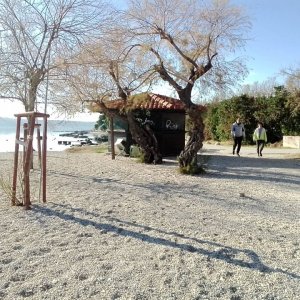 IMG_20231228_120648.jpg