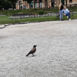 67_Zagreb.jpg