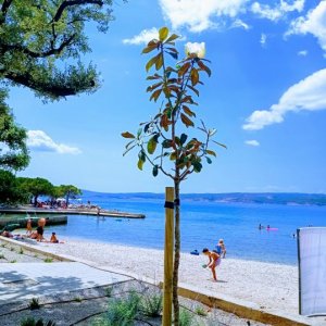 Kvarner Bucht: Crikvenica> Hauptstrand