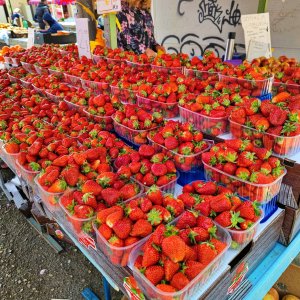IMG_20240423_120831_Erdbeeren - Kopie.jpg