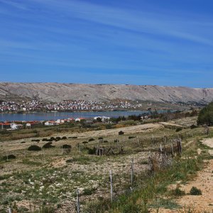 Dalmatien: Otok PAG > Wanderung