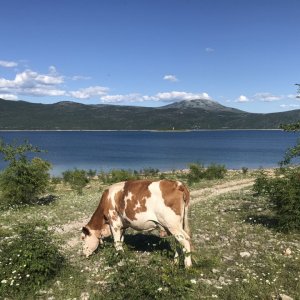E2159B99-FA8E-4541-AD45-F3737F8C6556.jpeg