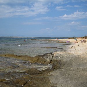 Marlera Kazela (1).JPG