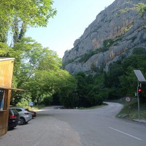 IMG_20240701_094636.jpg