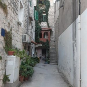87.jpg