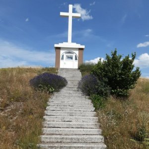 93.jpg