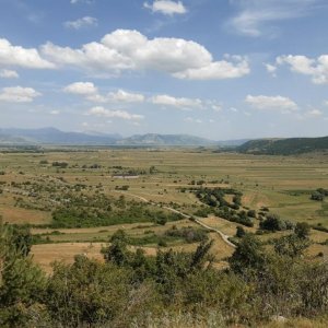 94.jpg