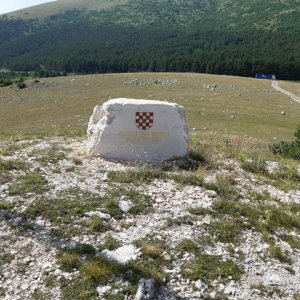 96.jpg