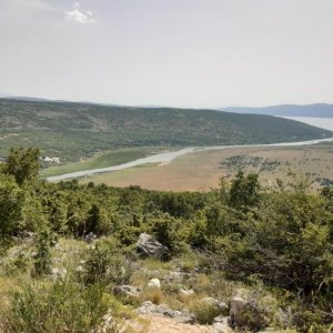 97.jpg