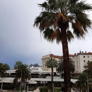 103.jpg