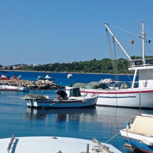 IMG_20240704_092158.jpg