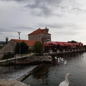 115.jpg
