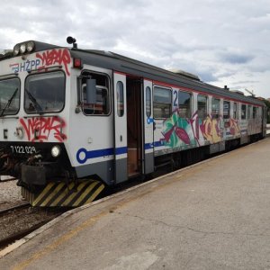 117.jpg