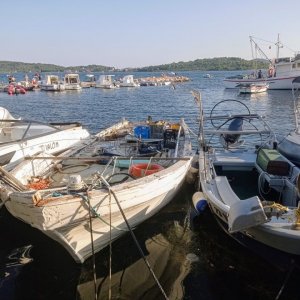 IMG_20240630_190544.jpg