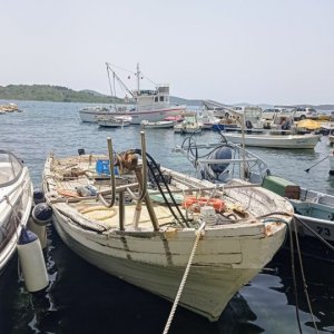 IMG_20240622_141828.jpg