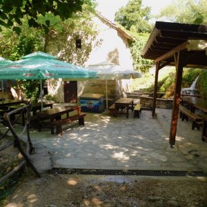 DSCN0303.JPG