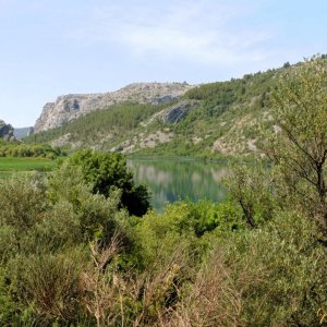 DSCN0320.JPG
