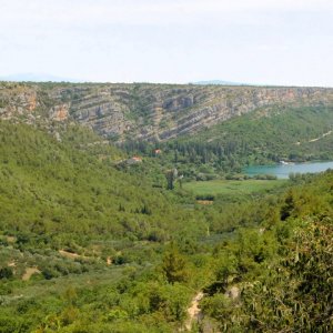 DSCN0340.JPG