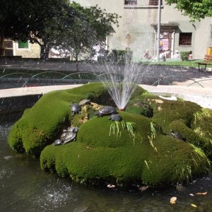 Dalmatien: Sibenik> Schildkrötenbrunnen