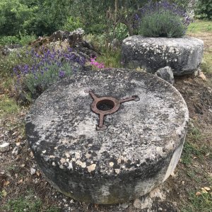 Stein (2).JPG