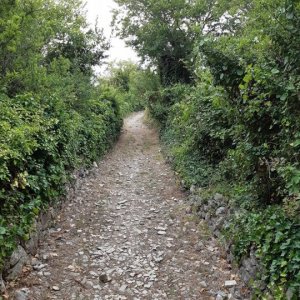 Dalmatien: SOLIN > Salona grün.jpg