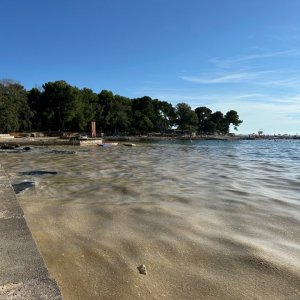 IMG_3440.jpg