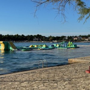 IMG_3444.jpg