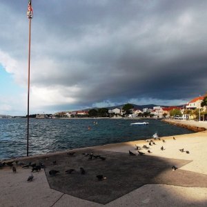DSCF9681.JPG