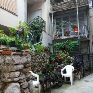 DSCF9696.JPG