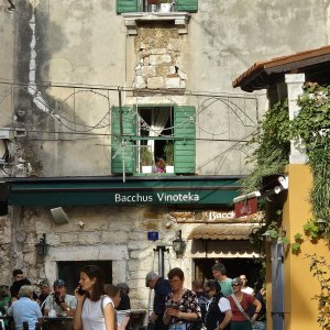 Bacchus