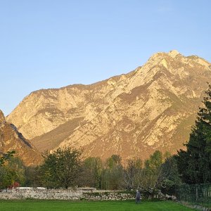 Gemona